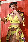 Ibiza Transex Escort Nina La Divina 0034 617911341 foto 5