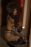 Bergamo Transex Escort Haycka Pornostar 393 1191544 foto 13