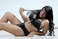 Lodi Transex Escort Dryka 371 1943155 foto 11