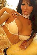 Roma Transex Escort Imperatrice Laverr 373 7354025 foto 79