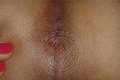 Grosseto Transex Escort Linda 351 1748930 foto hot 5