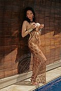 Torino - Bergamo Transex Escort Laviny Albuquerque Pornostar 389 0019370 foto 6