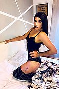 Milano Transex Escort Elisa 351 2604780 foto 14