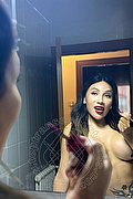 Genova - Cesenatico Transex Escort Miranda Belleza Esotica 353 2044743 foto 19