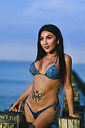 Genova - Cesenatico Transex Escort Miranda Belleza Esotica 353 2044743 foto 7