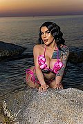 Roma Transex Escort Lissandra 392 4155563 foto 3