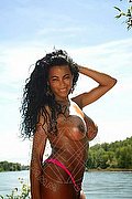 Melegnano Transex Escort Thamiris 338 2012652 foto 15