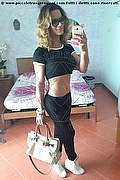 Alessandria Transex Escort Priscilla Beckham 328 6724078 foto selfie 18