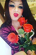 Bratislava Transex Escort Nika 0042 1944929936 foto selfie 3