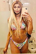 Roma Transex Escort Tiffany Oliveira 371 6140791 foto selfie 179