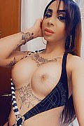 Como Transex Escort Paola Bello 344 4088691 foto selfie 19