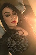 Legnano Transex Escort Nicoly 329 3358987 foto selfie 37