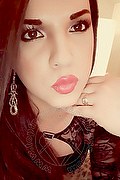 Roma Transex Escort Cristina 380 4926793 foto selfie 23