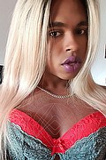 Taranto Transex Escort Livia Marine 334 1404929 foto selfie 40