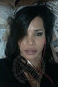Marina Di Montemarciano Transex Escort Luana Rodriguez 380 1971173 foto selfie 17