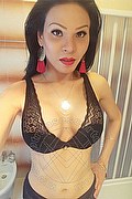 Lecce Transex Escort Audra Maia 348 9023396 foto selfie 17