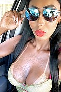 Verona Transex Escort Thayys Castro 329 7289046 foto selfie 73