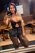 Verona Transex Escort Thayys Castro 329 7289046 foto selfie 72