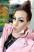 Rimini Transex Escort Chiara Italiana 379 1233337 foto selfie 27