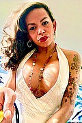 Montemarciano Transex Escort Drielly Riuston Pornostar 329 3405776 foto selfie 3
