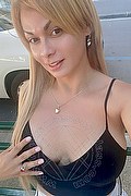 Novara Transex Escort Brandy 388 3860479 foto selfie 19