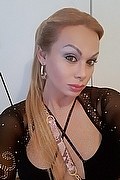 Novara Transex Escort Brandy 388 3860479 foto selfie 15