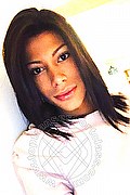 Perugia Transex Escort Miriany Ribeiro Pornostar 331 1180448 foto selfie 42