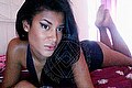 Perugia Transex Escort Miriany Ribeiro Pornostar 331 1180448 foto selfie 88