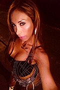 Viareggio Transex Escort Leyla 338 3398084 foto selfie 50