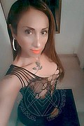 Viareggio Transex Escort Leyla 338 3398084 foto selfie 40