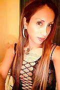 Viareggio Transex Escort Leyla 338 3398084 foto selfie 30