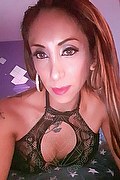 Viareggio Transex Escort Leyla 338 3398084 foto selfie 37