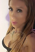 Viareggio Transex Escort Leyla 338 3398084 foto selfie 17