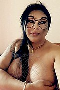 Ferrara Transex Escort Gabriella Sensual 371 6618391 foto selfie 2