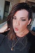 Rimini Transex Escort Chiara Italiana 379 1233337 foto selfie 21