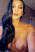 Brescia Transex Escort Graziella Farias 351 5874125 foto selfie 54