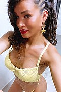 Milano Transex Escort Brunella Ricci 388 8954488 foto selfie 36