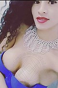 Milano Transex Escort Brunella Ricci 388 8954488 foto selfie 72