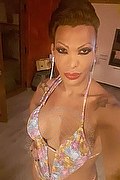 Milano Transex Escort Bruna Canavashi 389 4947922 foto selfie 1