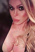 Milano Transex Escort Evelyn Braga 320 1959448 foto selfie 17