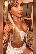 Bergamo Transex Escort Haycka Pornostar 393 1191544 foto selfie 9