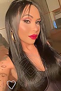 Bergamo Transex Escort Haycka Pornostar 393 1191544 foto selfie 3