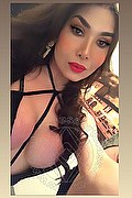 Roma Transex Escort Kettley Lovato 376 1362288 foto selfie 52