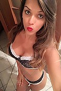 Ginevra Transex Escort Rayca 348 5638746 foto selfie 191