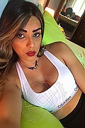 Ginevra Transex Escort Rayca 348 5638746 foto selfie 188