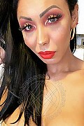 Verona Transex Escort Thayys Castro 329 7289046 foto selfie 77