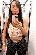 Verona Transex Escort Thayys Castro 329 7289046 foto selfie 54