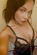 Savona Transex Escort Miss Alessandra 327 7464615 foto selfie 10