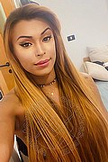 Roma Transex Escort Tiffany Oliveira 371 6140791 foto selfie 52