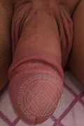Villa Rosa Transex Escort Giselly  Bella 351 8461907 foto selfie 97